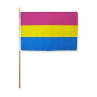 Pride flagg på pinne - Panfil